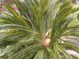 Resize of P21010180.JPG